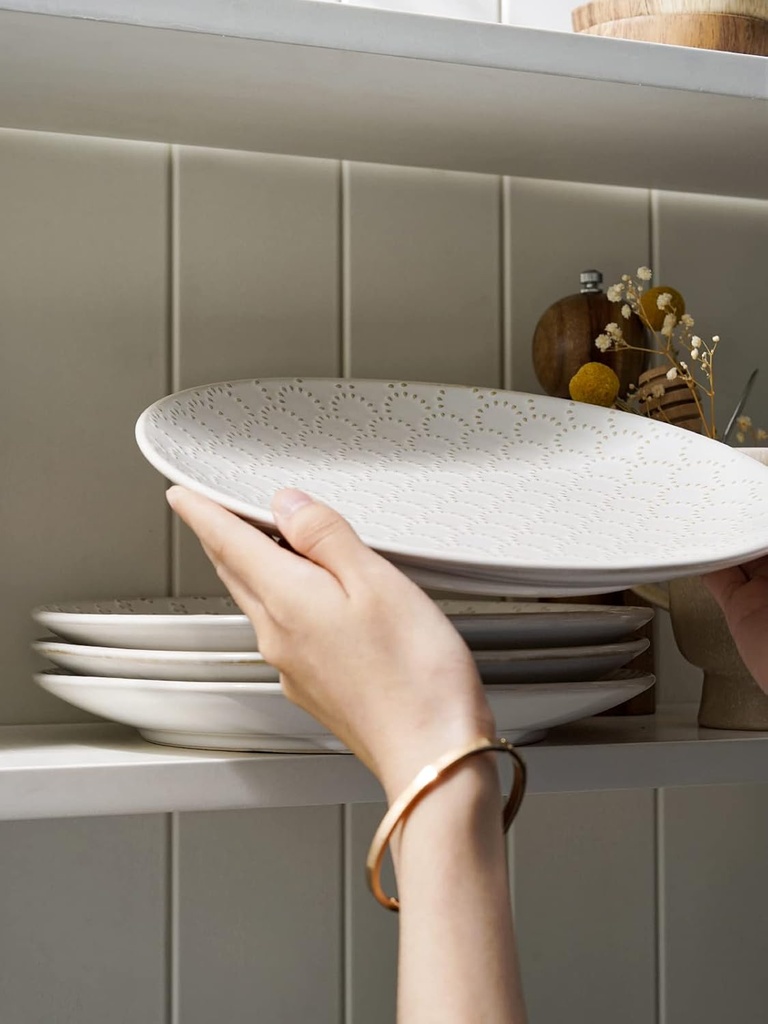 le-tauci-dinner-plates-10-inch-ceramic-d-5.jpg