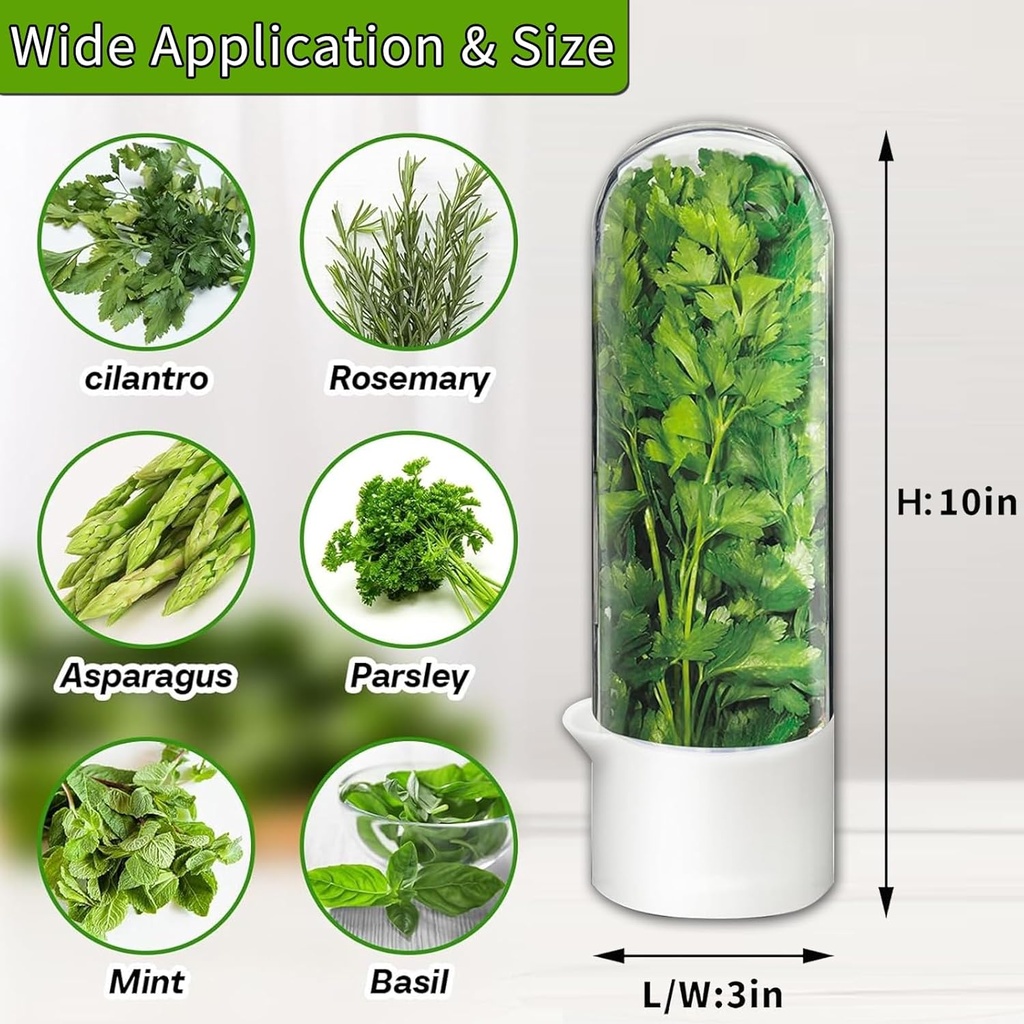 herb-saver-for-refrigerator-herb-saver-p-2.jpg