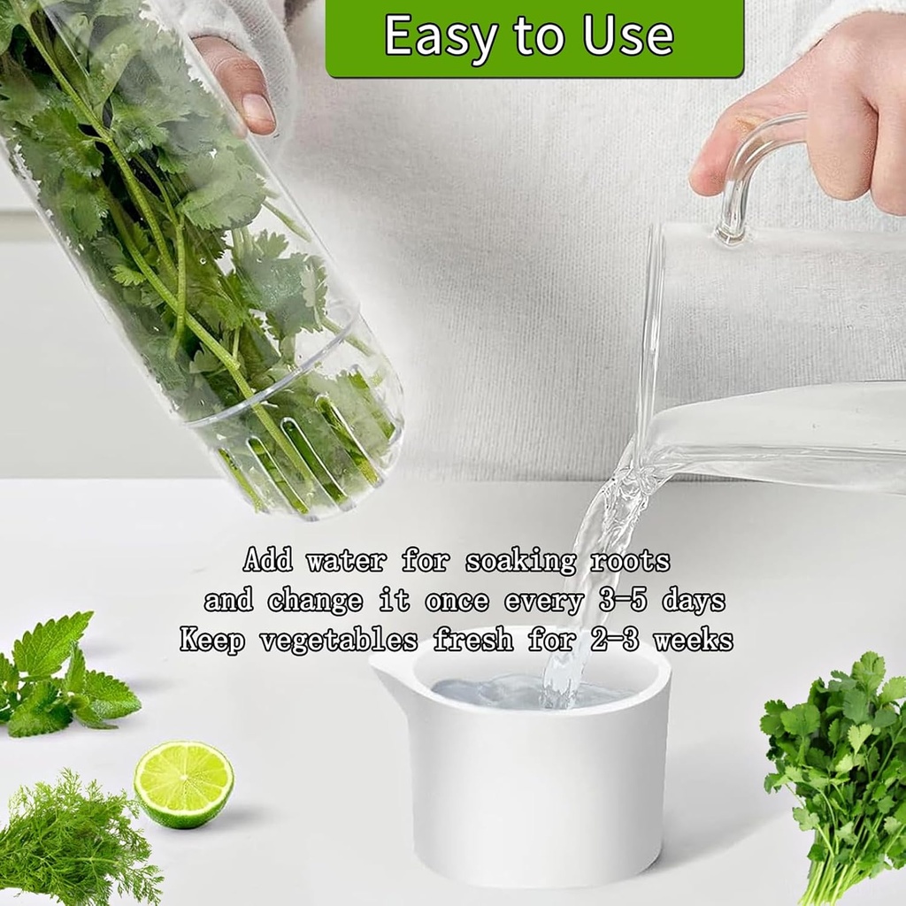 herb-saver-for-refrigerator-herb-saver-p-3.jpg