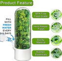 herb-saver-for-refrigerator-herb-saver-p-4.jpg