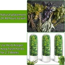 herb-saver-for-refrigerator-herb-saver-p-6.jpg