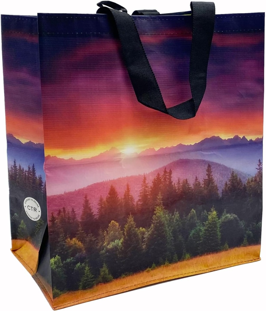 earthwise-reusable-shopping-bags-extreme-2.jpg