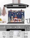 christmas-countertop-burners-protection--5.jpg