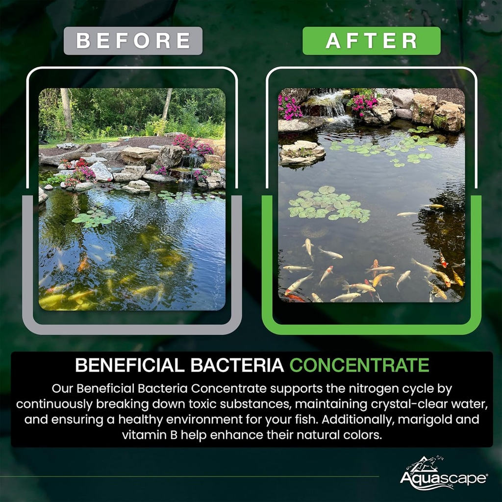 aquascape-beneficial-bacteria-concentrat-5.jpg