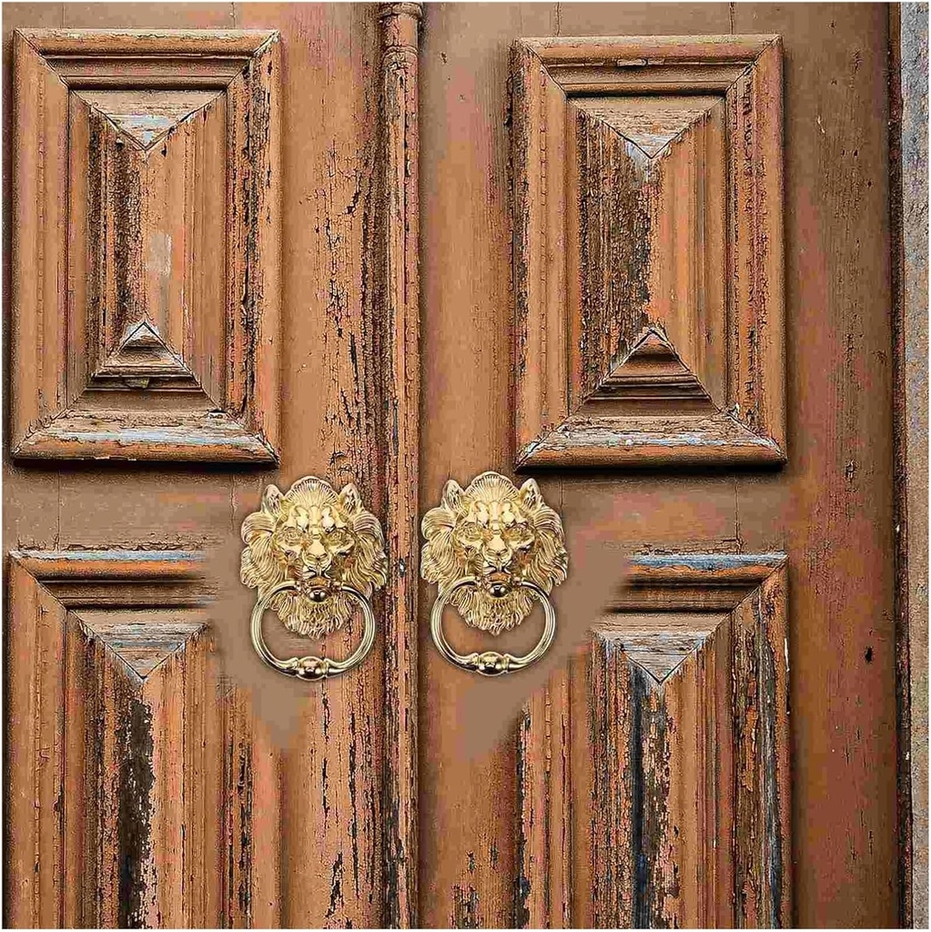 door-knocker-front-door-knockers-lion-he-4.jpg