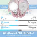 hansang-g25-led-globe-light-bulbs-60w-eq-4.jpg