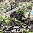 gardenia-iron-weeding-rake-iron-rake-20--4.jpg