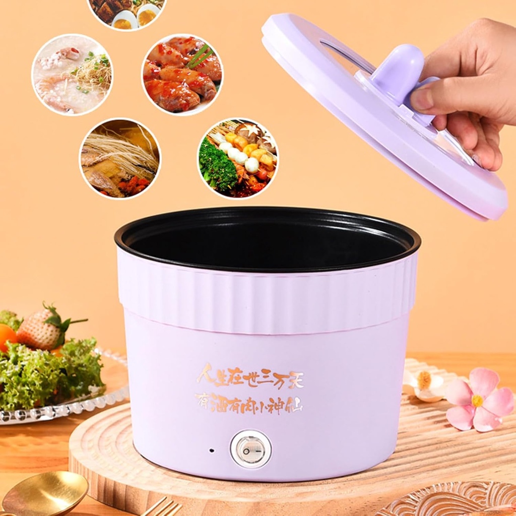 gernie-hot-pot-electric-450w-12l-portabl-3.jpg