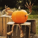 joyin-halloween-pumpkin-arms-and-legs-se-5.jpg