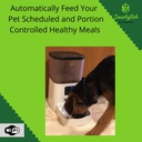 smart-automatic-wifi-cat-dog-dry-food-fe-2.jpg
