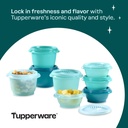 tupperware-heritage-collection-new-16-pi-5.jpg
