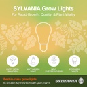 sylvania-incandescent-spot-gro-60w-grow--4.jpg