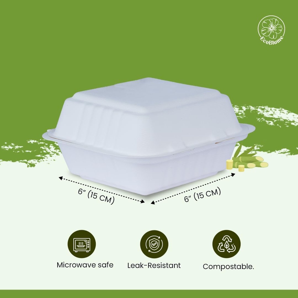 50-pack-6x6--inch-compostable-clamshell--2.jpg