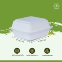 50-pack-6x6--inch-compostable-clamshell--2.jpg