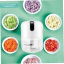 electric-chopper-mini-food-chopper-elect-2.jpg