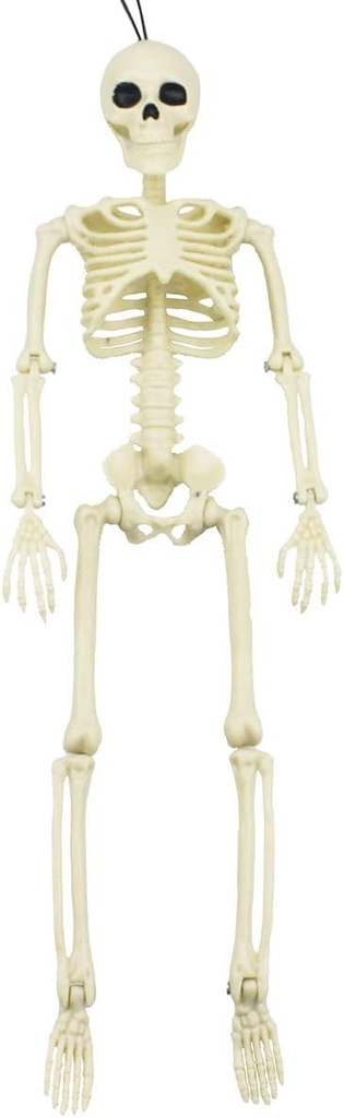 xonor-16-posable-halloween-skeleton--ful-2.jpg