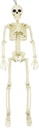 xonor-16-posable-halloween-skeleton--ful-2.jpg