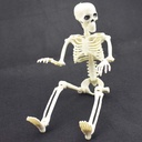 xonor-16-posable-halloween-skeleton--ful-3.jpg