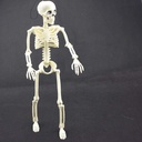 xonor-16-posable-halloween-skeleton--ful-5.jpg
