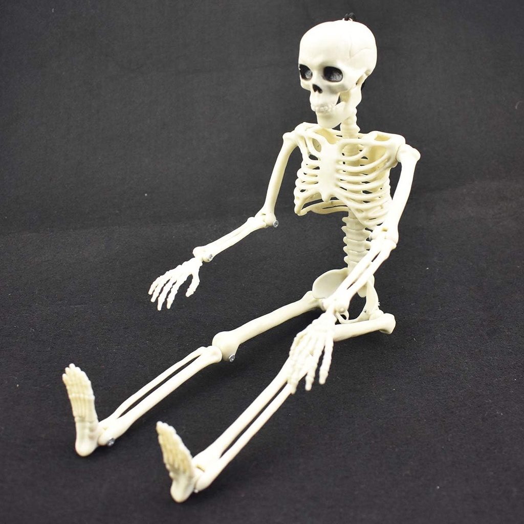 xonor-16-posable-halloween-skeleton--ful-6.jpg