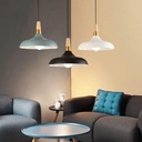 elegance-metal-hanging-light-with-decora-2.jpg