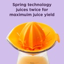chefn-juicester-citrus-juiceryellow-3.jpg