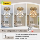 modern-small-crystal-ceiling-chandelier--4.jpg