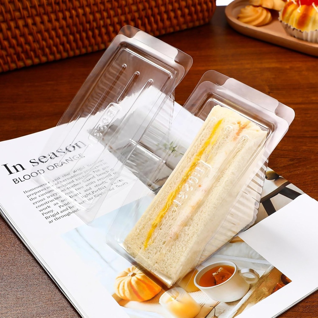 cabilock-clear-plastic-sandwich-packagin-6.jpg