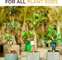 10-pack-natural-self-watering-spikes---t-3.jpg