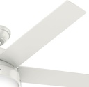 hunter-52-inch-indoor-ceiling-fan-with-l-5.jpg