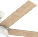 hunter-52-inch-indoor-ceiling-fan-with-l-6.jpg