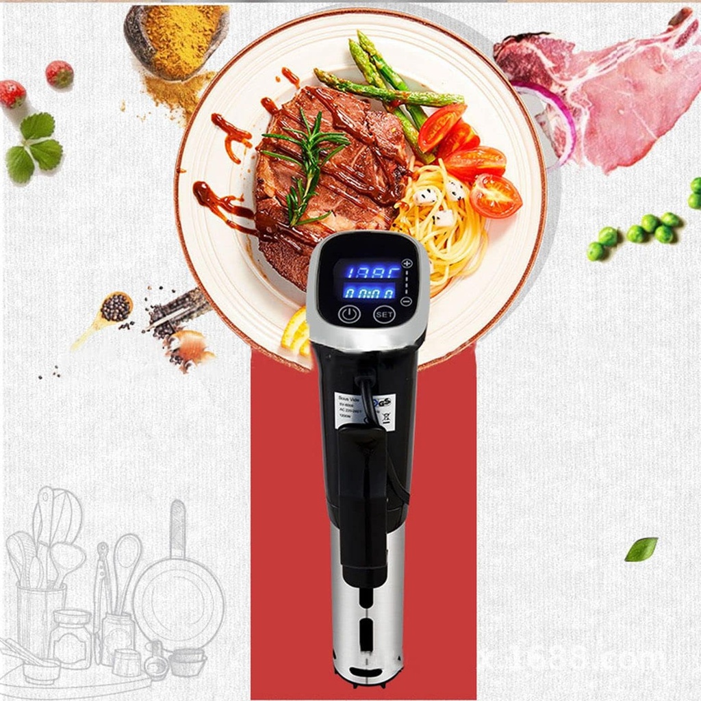 sous-vide-cooker-immersion-circulator-ip-4.jpg