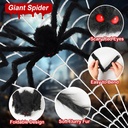 land-guard-236-big-spider-web-halloween--2.jpg