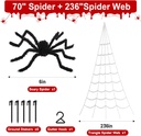 land-guard-236-big-spider-web-halloween--3.jpg