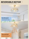 20-gold-crystal-fandelier-ceiling-fan-wi-5.jpg