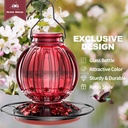 glass-hummingbird-feeder-for-outdoors-ha-2.jpg