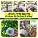 nursery-grafting-tape-plant-buddy-tape-f-2.jpg