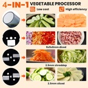 electric-food-processor-4-in-1-vegetable-2.jpg