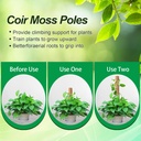 6-pack-moss-poles-for-monstera-plant-sup-2.jpg