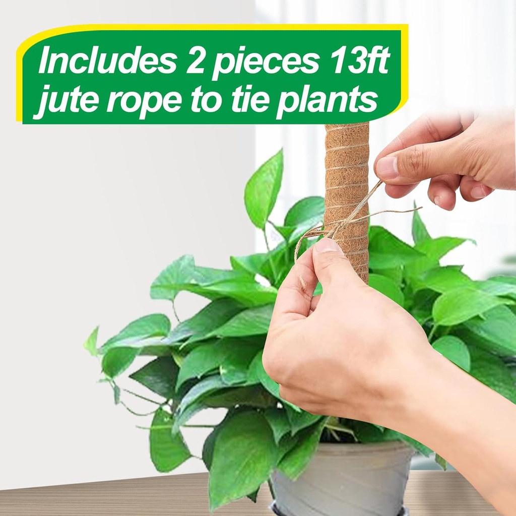 6-pack-moss-poles-for-monstera-plant-sup-5.jpg