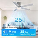 rayqueen-52-inch-ceiling-fans-with-light-3.jpg