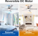 rayqueen-52-inch-ceiling-fans-with-light-5.jpg
