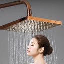 exposed-shower-faucet-set-rose-gold-show-4.jpg
