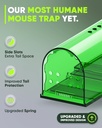 motel-mouse-humane-mouse-traps-no-kill-l-2.jpg