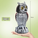 plastic-owl-statue-decoy-to-scare-birds--4.jpg