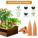 plant-watering-spikes-12-packterracotta--2.jpg