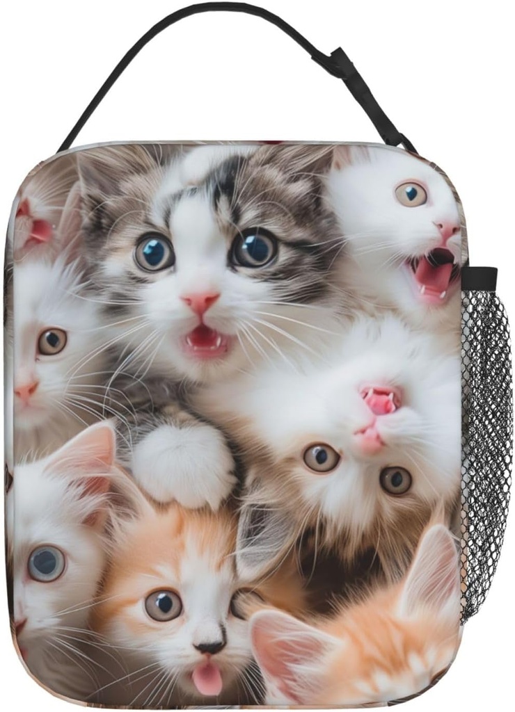 cute-cat-lunch-box-for-kids-girls-boys-k-2.jpg