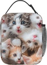cute-cat-lunch-box-for-kids-girls-boys-k-2.jpg