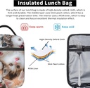 cute-cat-lunch-box-for-kids-girls-boys-k-4.jpg