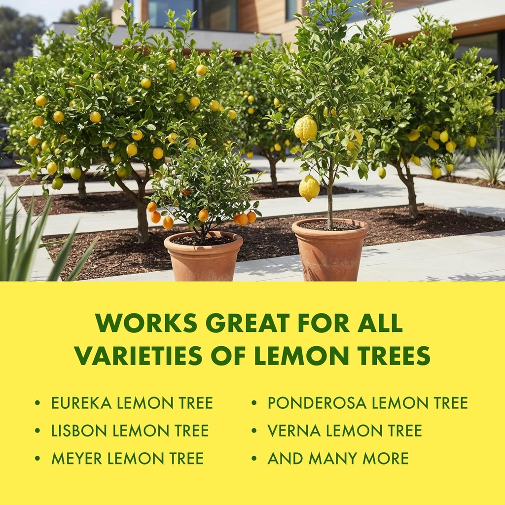 lemon-tree-fertilizer-complete-lemon-tre-6.jpg